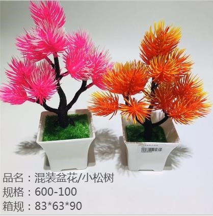 Mixed potted flowers / small pine trees
