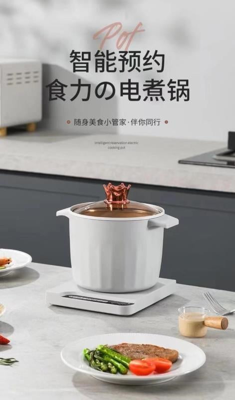 Electric cooking pot for yellow duck