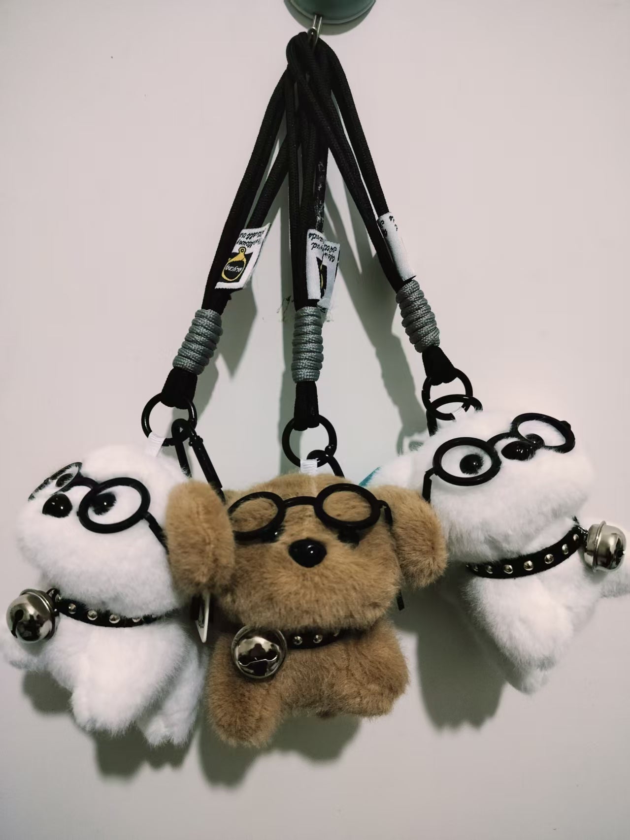 Glasses Dog