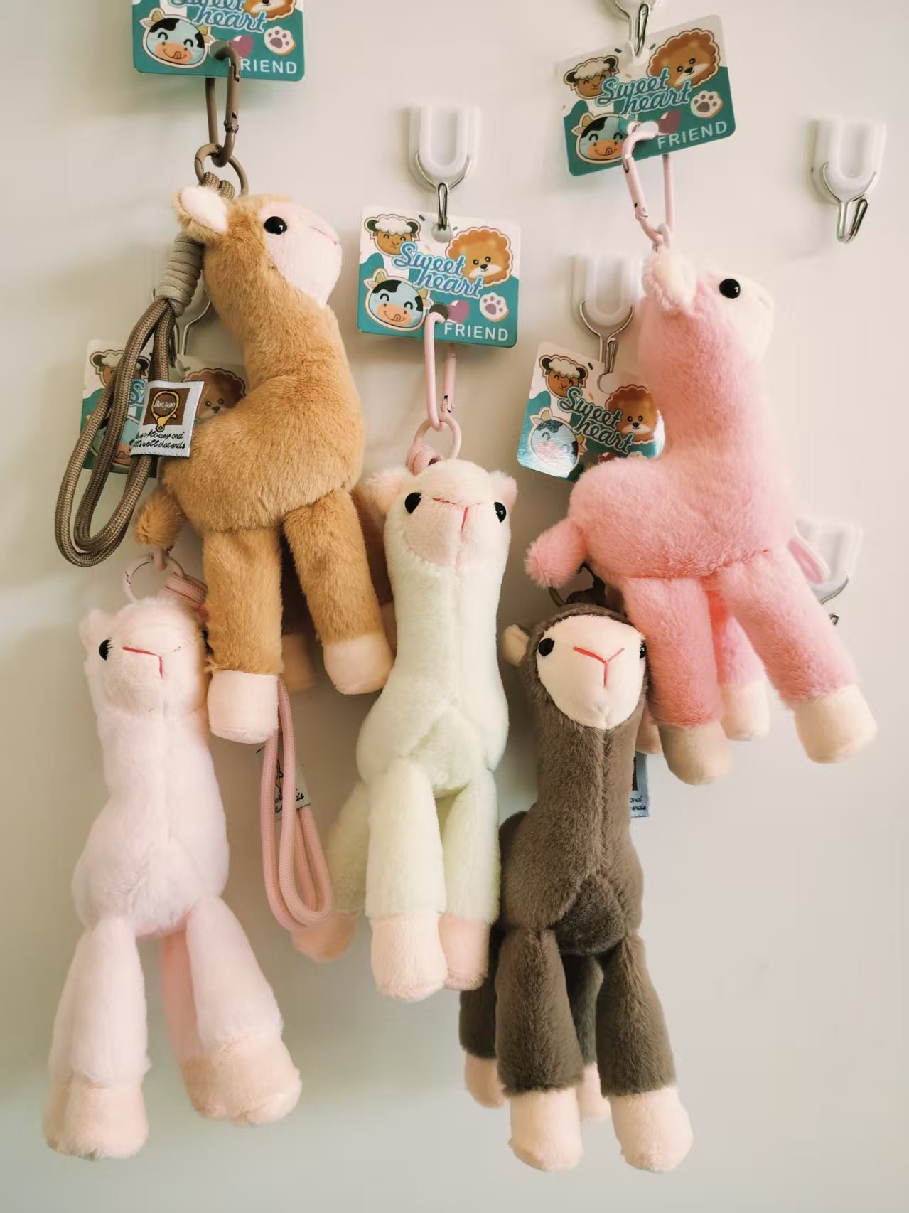 alpaca