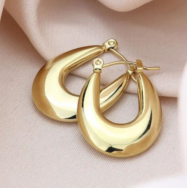 Hanging titanium steel ear hoops