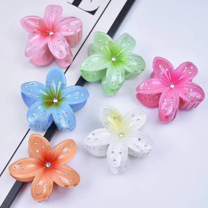 Frangipani Head Claw - 23