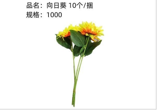 Sunflower flower