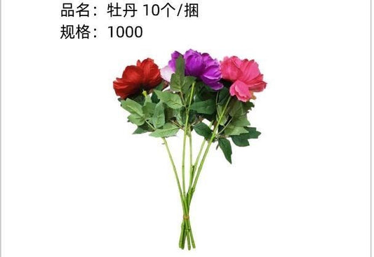 Peony flower