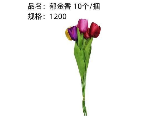 Tulip flower