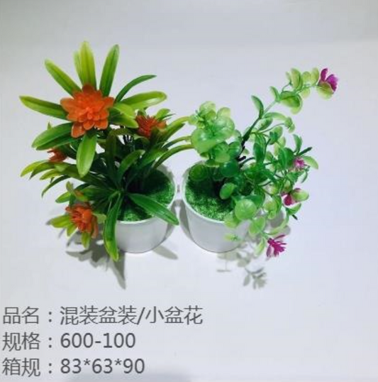 Mixed potted/small potted flowers
