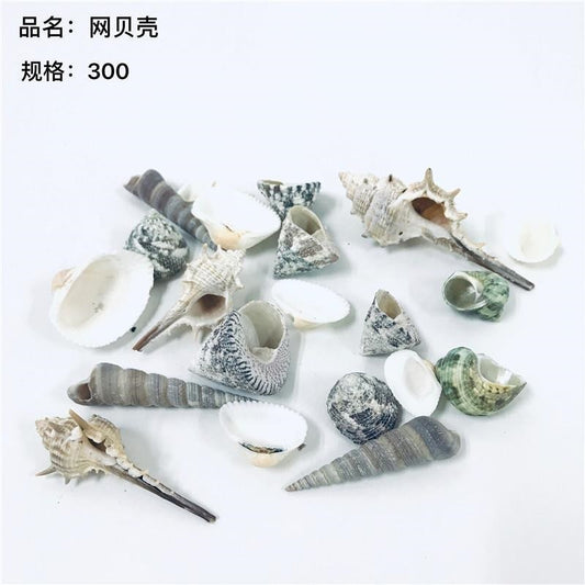 Net shells / Marine shells