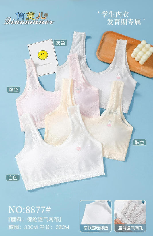 8877 Underwear (10 single-color pieces)