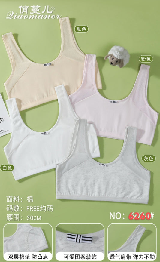 6260 Underwear (10 Solid Colors)