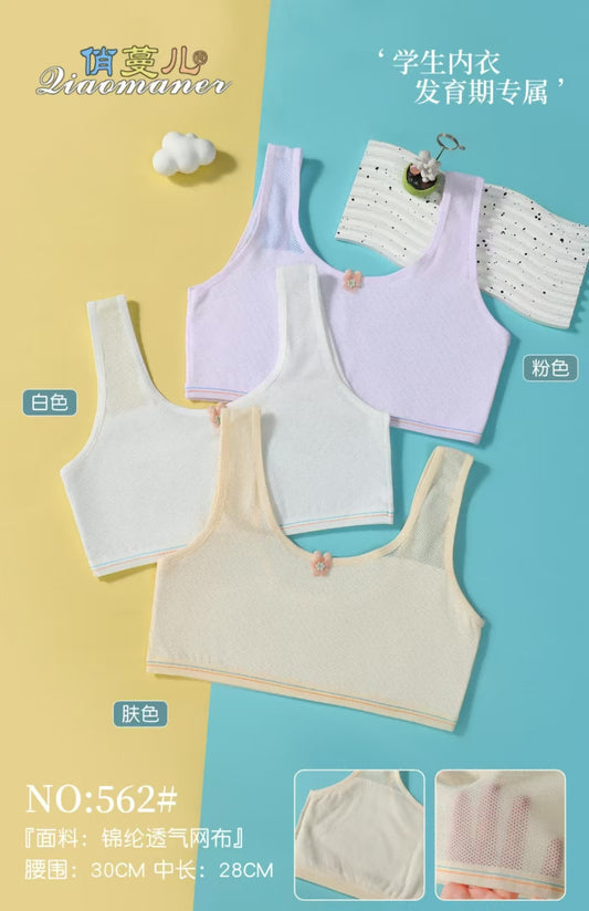 562 Underwear (10 solid colors)