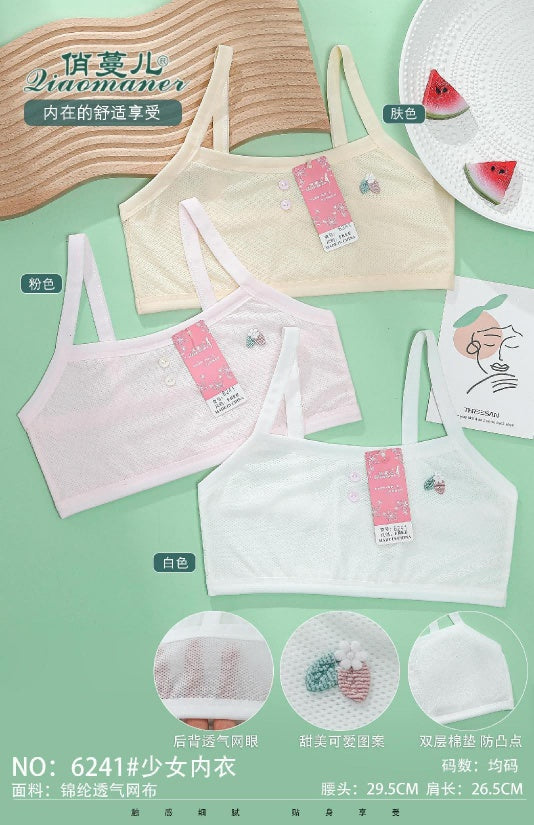 6241 Underwear (10 pieces in single color)