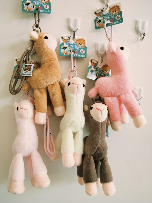 alpaca
