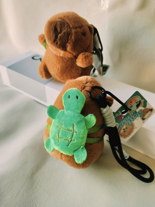 Turtle Kapi
