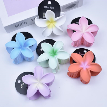 Plumeria - 12