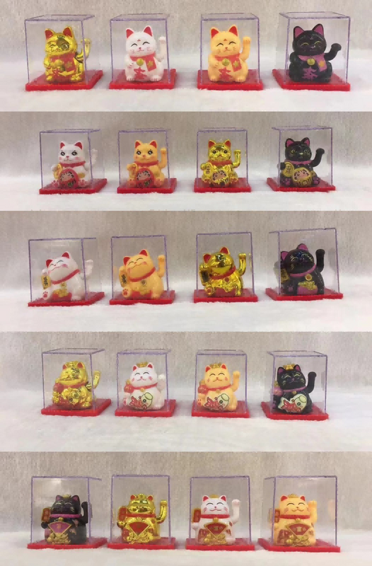 8011-16 mixed cats