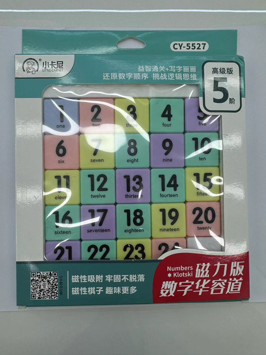 5527 Digital Puzzle